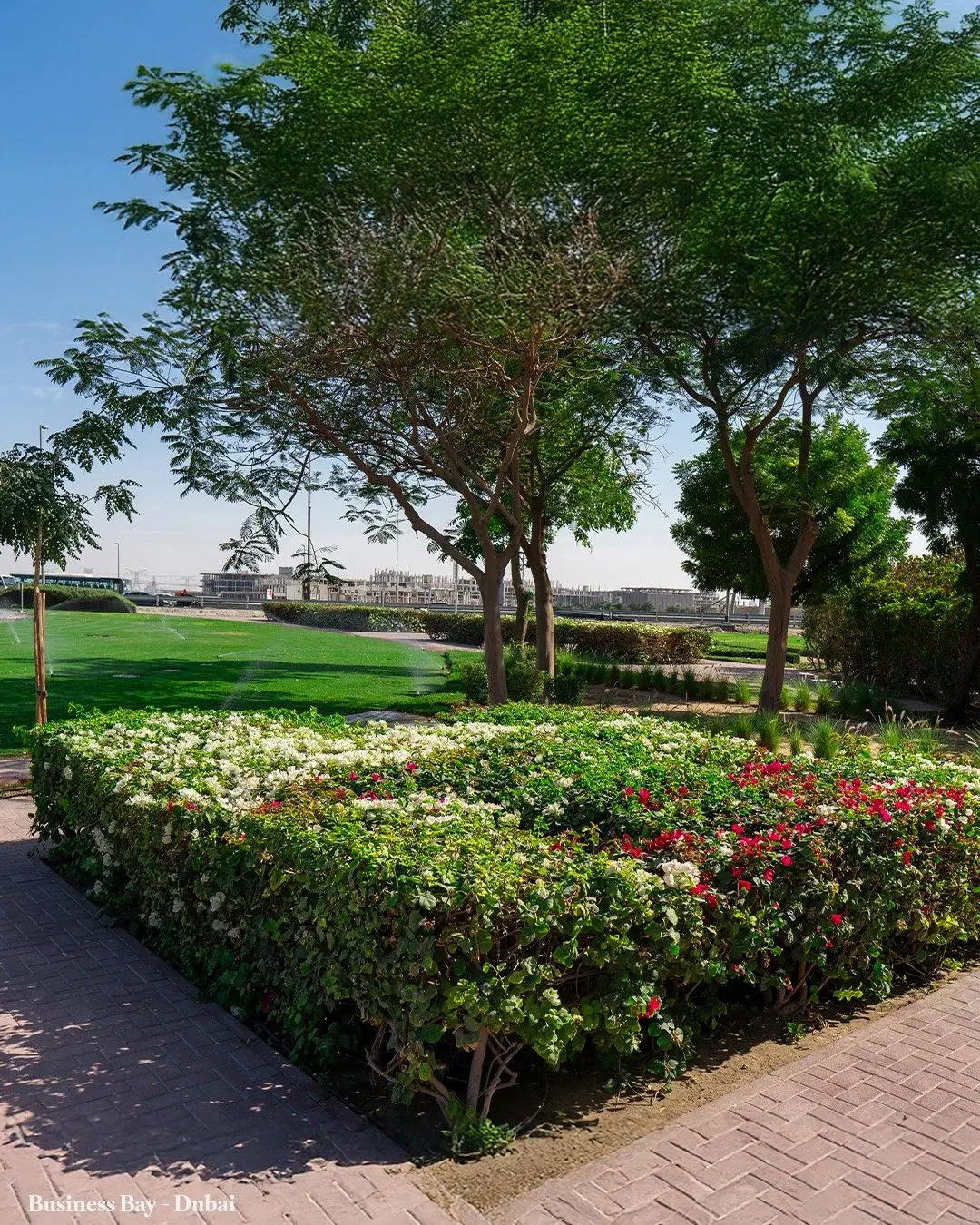 Paving & Landscaping Services in Dover